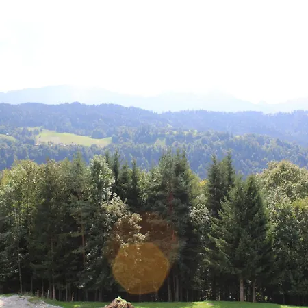 Pfeiffer Alm mit Blick auf die Zugspitze-3